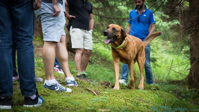 Teamevent Retreat: Achtsam zu mehr Resilienz