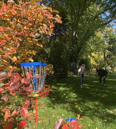 Teamevent Frisbeegolf / Discgolf in Leipzig