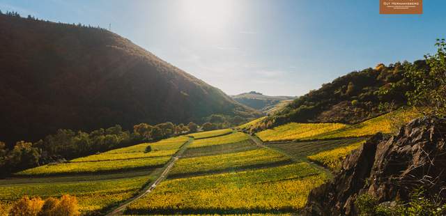 Tagungsspecial "Gutswein"