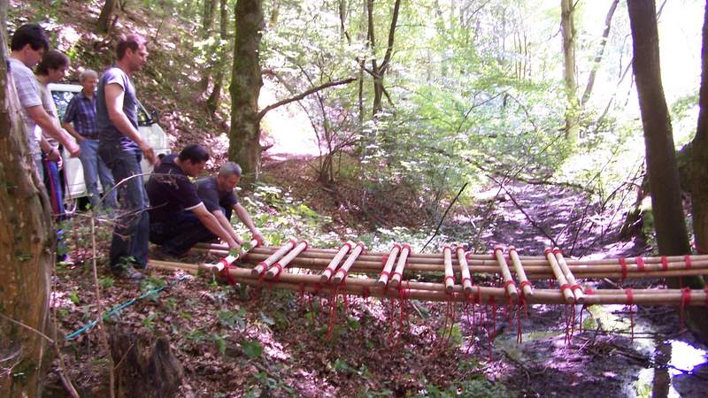 Team Management Systems + Holzbrückenbau