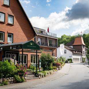 Hotel Birke