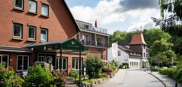 Hotel Birke