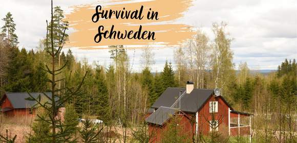 Schweden Survival