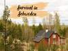 Schweden Survival
