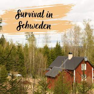 Schweden Survival
