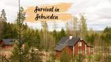 Schweden Survival