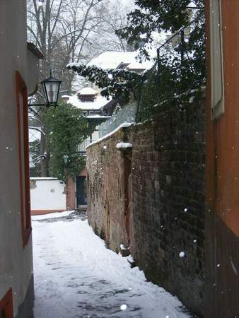 Erlebnisführung Universität Heidelberg