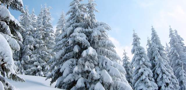 Winterwald Weihnachts-GPS-Rallye