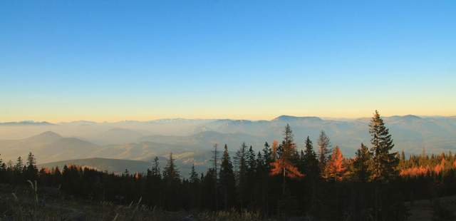 Incentive in die Steiermark