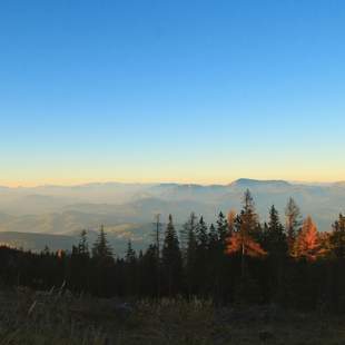 Incentive in die Steiermark
