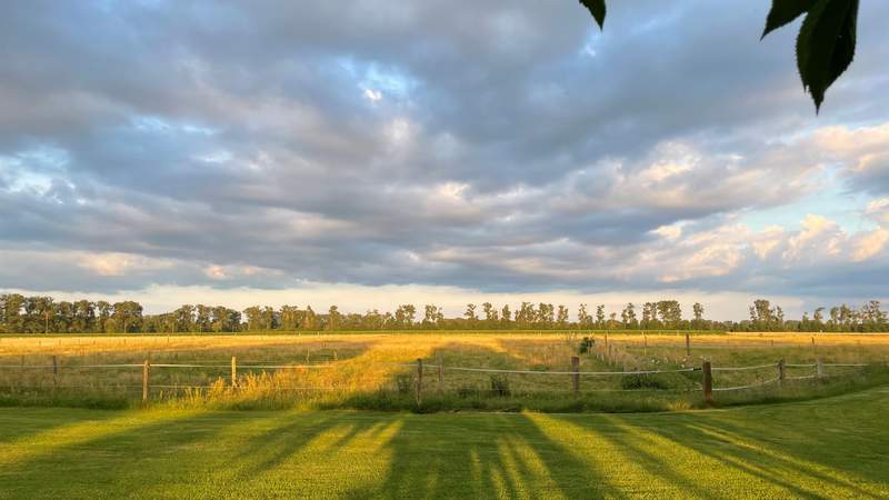 Auszeit im Grünen