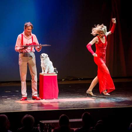 Comedy Hunde Theater