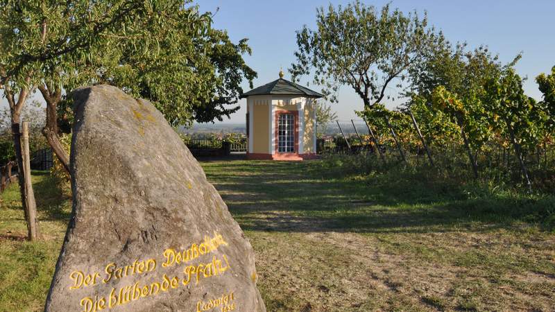 Die Haardt bei Neustadt an der Weinstraße