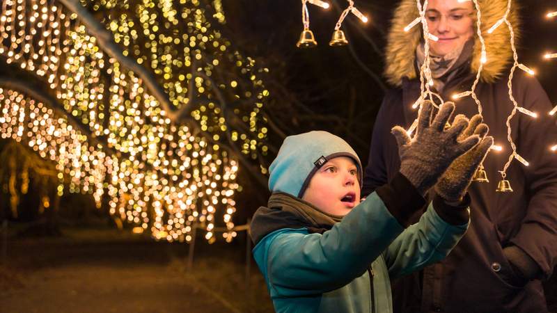 Weihnachstfeier im Christmas Garden