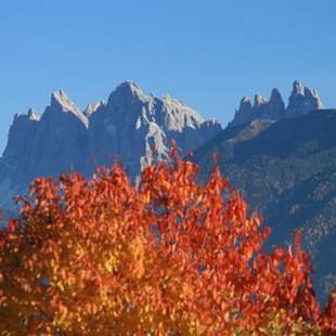 Wandern & Wein in Südtirol - Gruppenreise