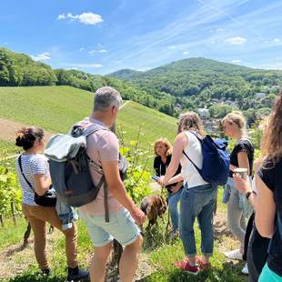 Tagesreise an den Mittelrhein