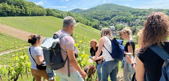 Tagesreise an den Mittelrhein