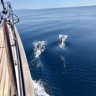 Klassik Yacht 19 Meter im Mittelmeer
