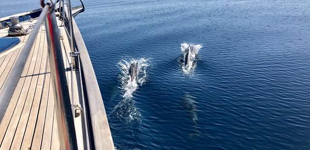 Klassik Yacht 19 Meter im Mittelmeer