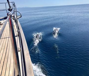 Klassik Yacht 19 Meter im Mittelmeer
