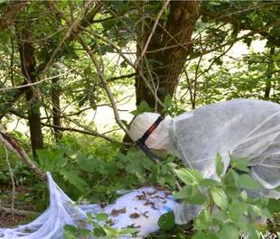 Findet das Nest