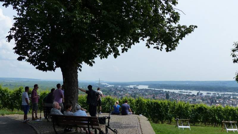 Geländewagen/SUV-Tour durch den Rheingau