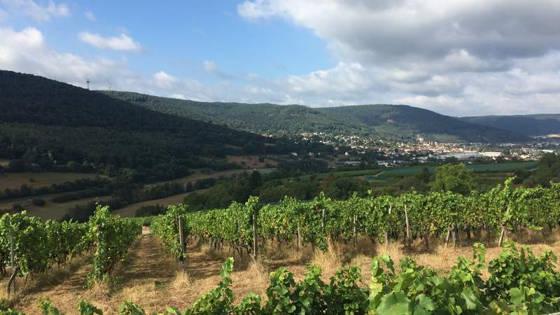 Segwaytour Miltenberg