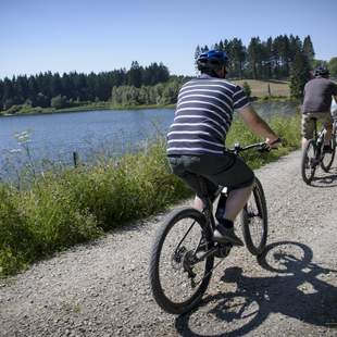 eBiking für Einsteiger