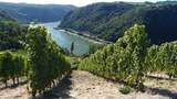 Betriebsausflug ins Rheingau
