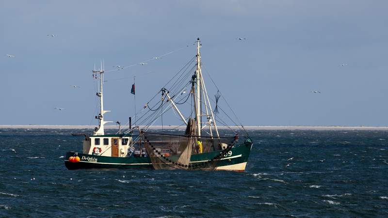 Segeln in Holland - Tagestörn