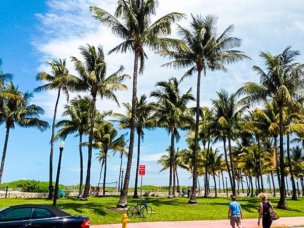 South Beach, Miami, Ocean Drive, Beach, Palm Trees