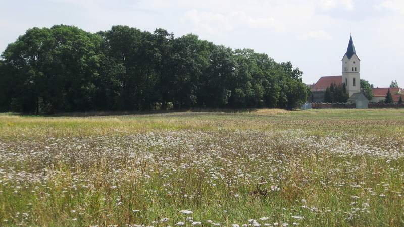 Geführte Radtouren rund um Leipzig