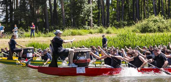 Drachenboot Teamevent als Idee für Ihren Betriebsausflug