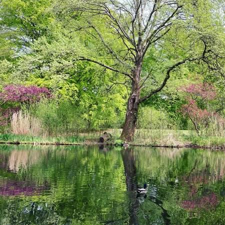 Geocaching+ im Berliner Tiergarten