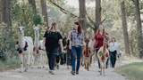 Wanderung mit Alpakas & Lamas
