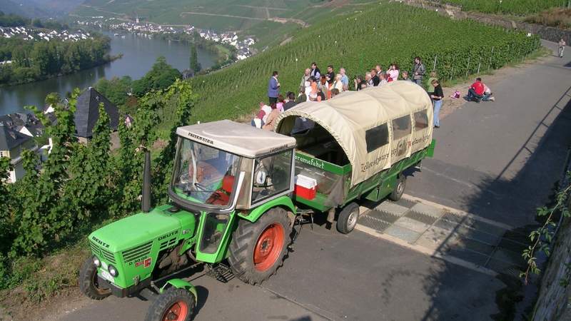 Schiffs- und Planwagenfahrt Bullay