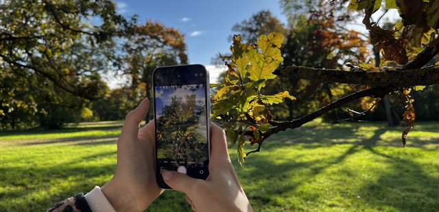 Fotospaziergang im Park in Weimar