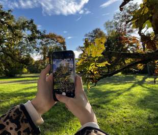 Fotospaziergang im Park in Weimar
