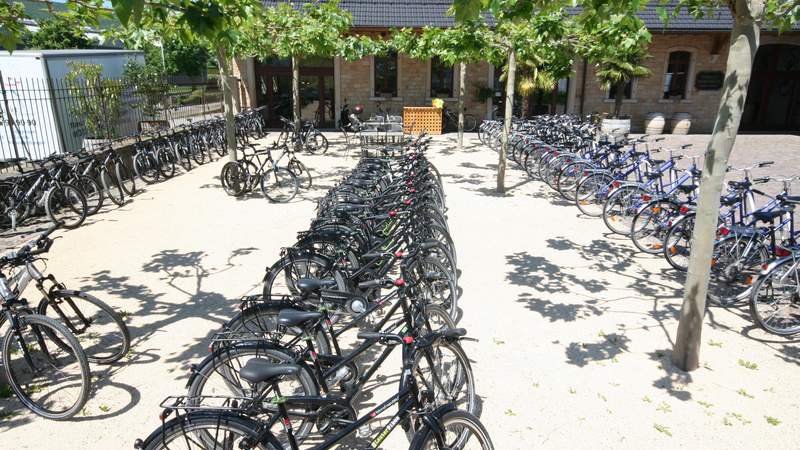 Team-Triathlon | Teambuilding & Challenge
