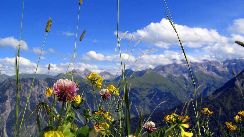Incentive Alpen Betriebsausflug IQ Incoming GmbH
