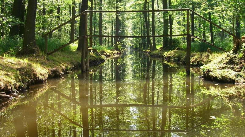 Paddeln im Spreewald