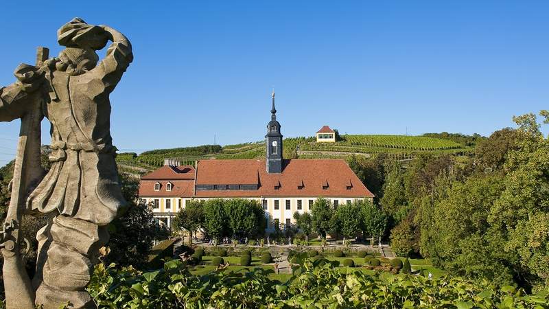 Erlebnistag durch die sächsischen Weinberge