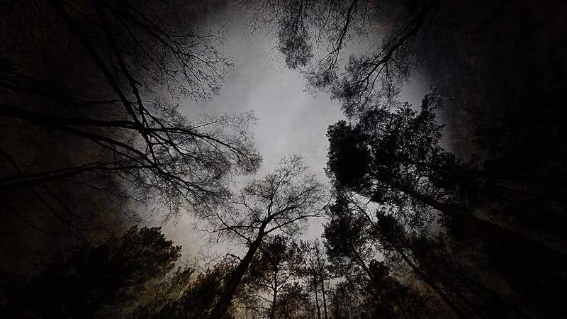 Gruselnachtwandung, Grusel Event, Horror Event, Firmenevent, Firmenfeier