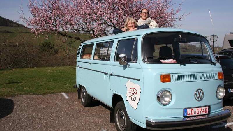 Oldtimerbus Tour Pfalz