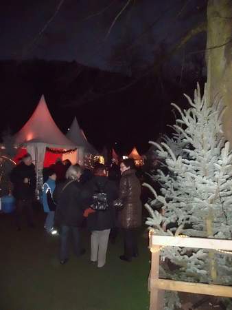 Heidelberger Weihnachtsführung am Schloss