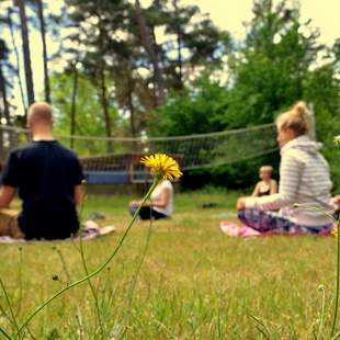 Achtsamkeit, Meditation, Team-Retreat in der Natur, Teamreise, Teamprävention