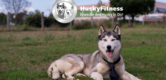 Health-Teambuilding mit HuskyFitness