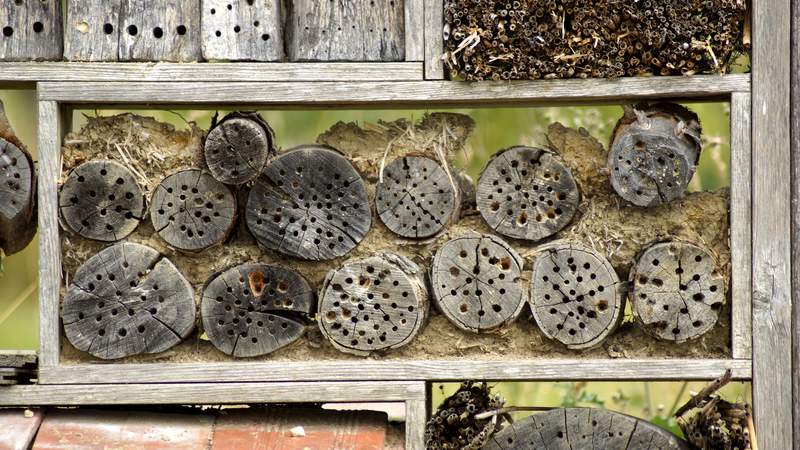 CSR-Event: Insektenhotels bauen!