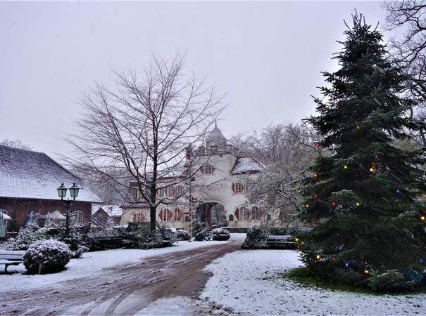 Weihnachtsfeier Weihnachtsbaum schlagen Teamevent