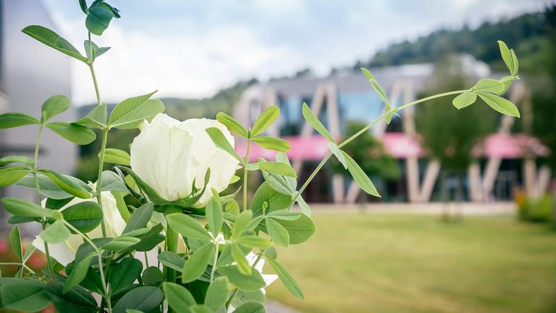 Viba Nougat Erlebniswelt in Schmalkalden